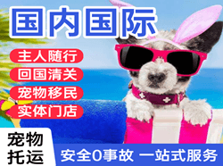 牡丹江机场物流国际宠物托运 【国